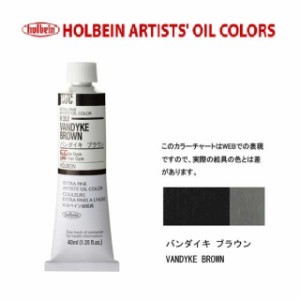 ホルベイン油絵具9号(40ml) H352 バンダイキブラウン