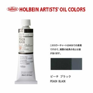 ホルベイン油絵具9号(40ml) H353 ピーチブラック