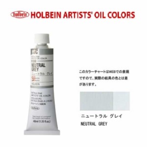 ホルベイン油絵具9号(40ml) H369 ニュートラルグレイ