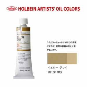 ホルベイン油絵具9号(40ml) H371 イエローグレイ