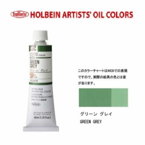 ホルベイン油絵具9号(40ml) H372 グリーングレイ