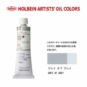 ホルベイン油絵具9号(40ml) H373 グレイオブグレイ