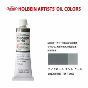 ホルベイン油絵具9号(40ml) H379 モノクロームチントクール