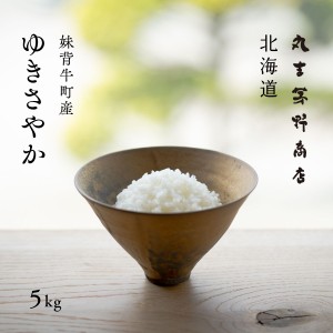 産地限定 ゆきさやか 5kg 北海道産 白米 令和5年産 真空パックに変更可 送料無料