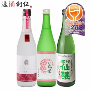 日本酒 WGO 2024 プレミアム純米部門 金賞 3本 飲み比べセット 720ml 仁喜多津 越乃梅里 黒松仙醸 ワイングラスでおいしい日本酒アワード