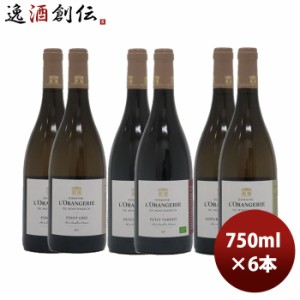 お歳暮 ＢＩＯワイン生産者６本セット 750ml 6本 1セット のし・ギフト・サンプル各種対応不可 歳暮 ギフト 父の日