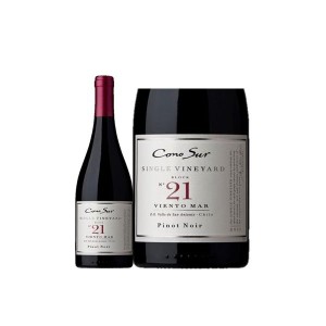 お歳暮 赤ワイン コノスル シングルヴィンヤード ピノ・ノワール 750ml 1本 wine 歳暮 ギフト 父の日