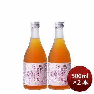 お歳暮 合同酒精 贅沢梅酒 500ml 2本 歳暮 ギフト 父の日