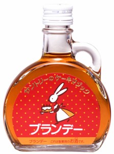 お歳暮 ブランデー ケーキマジック サントリー 100ml 1本 歳暮 ギフト 父の日