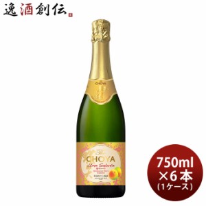 お歳暮 チョーヤ Ｔｈｅ ＣＨＯＹＡ 梅サルーテ 750ml 6本 1ケース 新発売 歳暮 ギフト 父の日