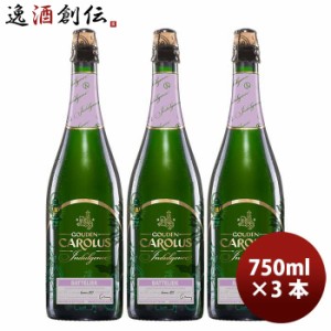 ビール ベルギー グーデン・カルロス・インダルジャンス 2023瓶 750ml 3本 小西酒造 限定品 クリスマスビール お酒