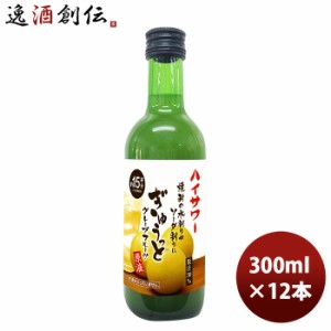 ハイサワー ぎゅうっとグレープフルーツ原液 300ml 12本 1ケース  のし・ギフト対応不可