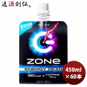 お歳暮 サントリー ゾーン ZONe ENERGY GEAR Ver1.0.0 パウチ ６個パック 180g 30本 2ケース 期間限定 のし・ギフト・サンプル各種対応不