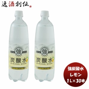 お歳暮 友桝 強炭酸水レモン １Ｌ ＰＥＴ 1L × 2ケース / 30本炭酸水 檸檬 人気 刺激 割り材 飲料 無添加 料理 健康 美容 アレンジ 歳暮