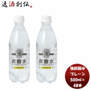 お歳暮 友桝 強炭酸水 ５００ｍｌ ＰＥＴ 500ml × 2ケース / 48本炭酸水 プレーン 人気 刺激 割り材 飲料 無添加 料理 健康 美容 アレン