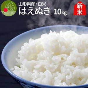 令和5年産 新米 山形県産 はえぬき 白米 10kg(5kg×2袋) 一等米 精米 ギフト 新生活応援 産地直送 のし プレゼント おにぎらず 代表米 