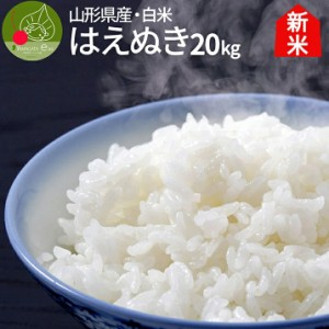 令和5年産 山形県産 はえぬき 白米 20kg(5kg×4袋) 一等米 精米 ギフト 新生活応援 産地直送 のし プレゼント おにぎらず 代表米 お土