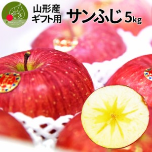 11月中旬発送 先行予約 りんご 送料無料 サンふじ 5kg 16〜20玉入り 山形県産 秀品 名水百選の水使用 ステビア栽培 贈答用 化粧箱入 2人