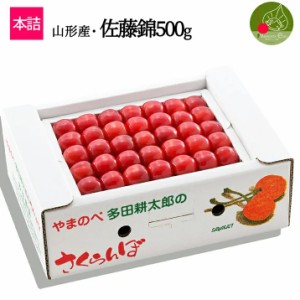 2024年6月中旬発送 先行早割 山形県産 さくらんぼ 佐藤錦 Ｌ玉 500g 本詰め 多田農園のさくらんぼ大粒 産地直送 化粧箱入 お中元 プレゼ