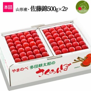 2024年6月下旬発送 先行早割 山形県産 さくらんぼ佐藤錦 Ｌ玉 500g×2パック 1kg 本詰 多田農園のさくらんぼ大粒 産地直送 化粧箱入 お中