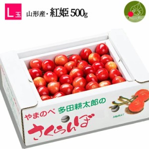 2024年7月中旬発送 先行早割 山形県産 さくらんぼ 紅姫 L玉 特秀 500g×1P バラ詰 多田農園のさくらんぼ 大粒 産地直送 化粧箱入 お中元 