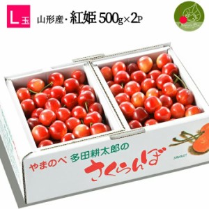 2024年7月中旬発送 先行早割 山形県産 さくらんぼ 紅姫 L玉 特秀 500g×2P バラ詰 多田農園のさくらんぼ 大粒 産地直送 化粧箱入 お中元 