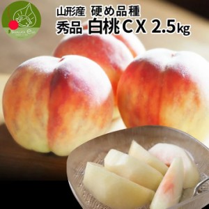 【2024年9月上旬発送・先行早割】硬い桃 白桃 秀品 白桃CX 2.5kg 山形県産 送料無料 固い桃 かたい桃 かため 硬め 期間限定 産地直送 山