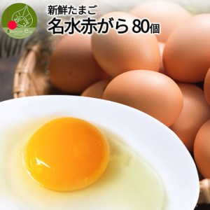 新鮮卵 生卵 名水赤がら 80個入 山形県産 美味しさ保障 送料無料 名水百選の水使用 出羽の郷 産地直送