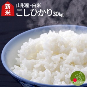 令和5年産 こしひかり 白米 30kg(5kg×6袋) 山形県産 特Ａ米 精米 一等米 ギフト 新生活応援 産地直送 通販 ブランド米 送料無料 内祝