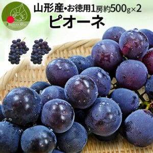 2024年9月下旬発送 先行早割 山形県産 ピオーネ 2房 約1kg (1房約500g)  お徳用 ぶどう 産地直送 同梱不可 送料無料 果物