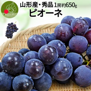 2024年9月下旬発送 先行早割 山形県産 秀品 大粒ピオーネ 1房 約650g 産地直送 同梱不可 果物 誕生日 送料無料 敬老の日 ギフト