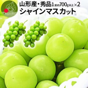 2024年9月下旬発送 先行早割 山形県産 秀品 シャインマスカット 2房（1房約700g前後） 化粧箱入 産地直送 敬老の日 ギフト お年賀 同梱不