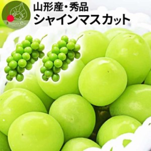 2024年9月下旬発送 先行早割 シャインマスカット 約1.2kg (2〜3房入り) 山形県産 秀品 果物 化粧箱入 産地直送 敬老の日 ギフト お年賀 