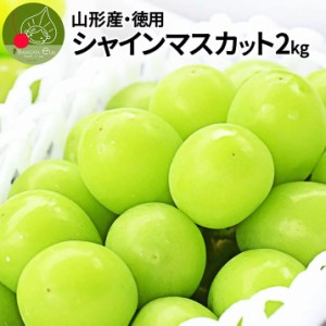 2024年9月下旬発送 先行早割 シャインマスカット 産地直送 2kg入り（約3〜5房前後） 山形県産 お徳用 大粒 訳あり 産地直送 果物 種無し 