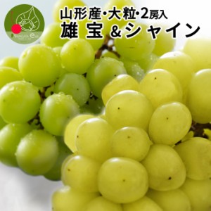 【2024年9月下旬発送 先行予約】 山形県産 ぶどう シャインマスカット × 雄宝 食べ比べ 2房入れ (1.8kg以上) 秀品 大粒 果物 化粧箱入 