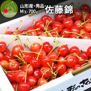 2024年6月下旬 先行早割 さくらんぼ 佐藤錦 秀品 Ｍ玉 700g 山形県産 産地直送 化粧箱入 プレゼント ギフト お中元 贈答 バラ詰め のし 