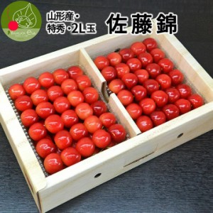 6月中旬発送・先行予約 さくらんぼ 佐藤錦 特秀 L玉 1kg(500g×2) 山形県産 産地直送 化粧箱入 プレゼント ギフト 品質保証 贈答品 のし 