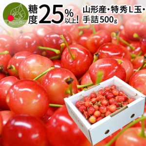 2024年6月下旬発送 先行早割 山形県産 さくらんぼ 糖度25%以上 特秀 L玉 500g 手詰め 大粒 産地直送 化粧箱入 お中元 プレゼント 手詰め 