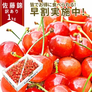 2024年6月下旬 先行早割 さくらんぼ 佐藤錦 or 紅秀峰 1kg 訳あり 山形県産 クール便 バラ詰め 数量限定 産地直送 サイズ混合 送料無料