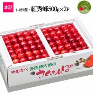 7月下旬発送 先行早割 山形県産 さくらんぼ 紅秀峰 2L玉 特秀 500g×2P 本詰め 多田農園のさくらんぼ 大粒 産地直送 化粧箱入 お中元 プ