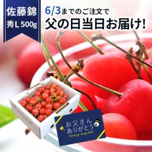 ＼父の日ギフト 今なら当日お届け! 先行早割／ さくらんぼ 佐藤錦 秀品 L玉 500g クール便 山形県産 産地直送 ギフト のし フルーツ 人気