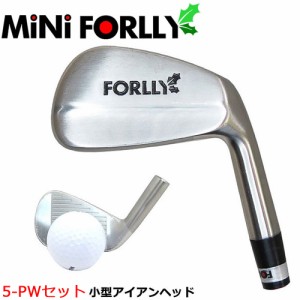 mini FORLLY ミニ フォーリー 5-PW/6個セット 練習用に最適！小型アイアンヘッド ヘッドのみ販売