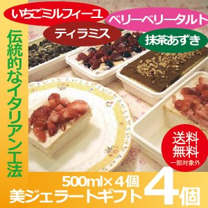 ギフト アイスクリーム 送料無料 {美ジェラートギフト} 冷凍便『YWS』