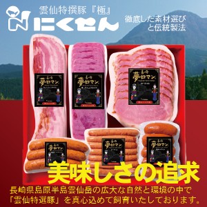 ハムギフト 長崎 雲仙 国産 冷蔵直送 送料無料 にくせん NPG-15 バラエティセット詰め合わせ セット『NKS』