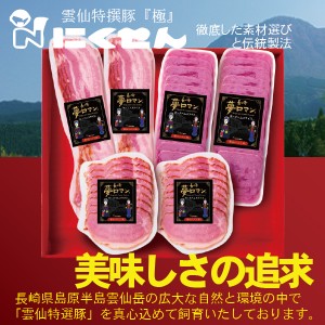 ハムギフト 長崎 雲仙 国産 冷蔵直送 送料無料 にくせん NPG-17 スライスセット詰め合わせ セット『NKS』