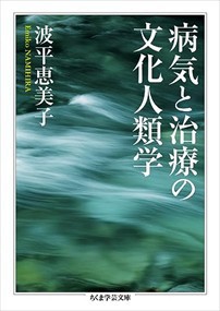 病気と治療の文化人類学    