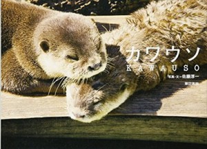 カワウソ    