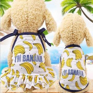 犬用 水着の通販 Au Pay マーケット