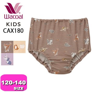 ワコール wacoal キッズ【メール便発送可】CAX180 ショーツ 女児 ノーマル スタンダード 120 130 140