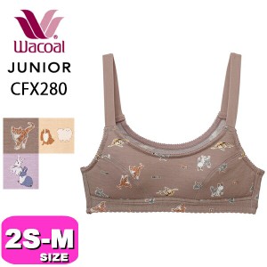 ワコール wacoal ジュニア 【メール便発送可】CFX280 ブラジャー ジュニアブラジャー ノンワイヤー STEP2 かぶり 2S S M